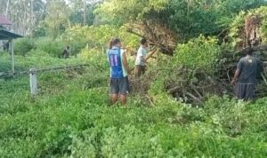 IMG-20260424-WA0054