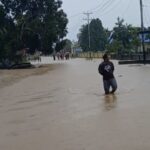 IMG_20250817_200832