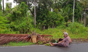 Kehidupan-warga-lingkar-tambang-Dua-ibu-petani-desa-Wale-Halmahera-Tengah-beristirhat-di-tepi-jalan-saat-piulang-dari-kebun-foto-M-Ichi-768x512